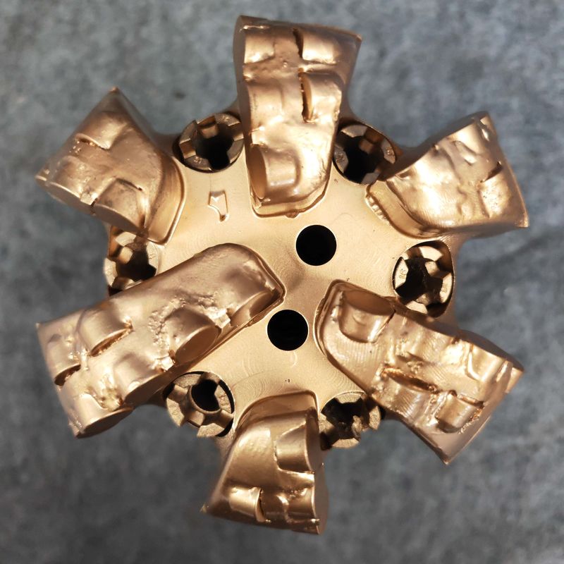 Özelleştirilebilir 200mm 6 bıçaklı Su Kuyuları Pdc Bitler Nozzle ve Sabit Kesicilerle Kesme Tipi